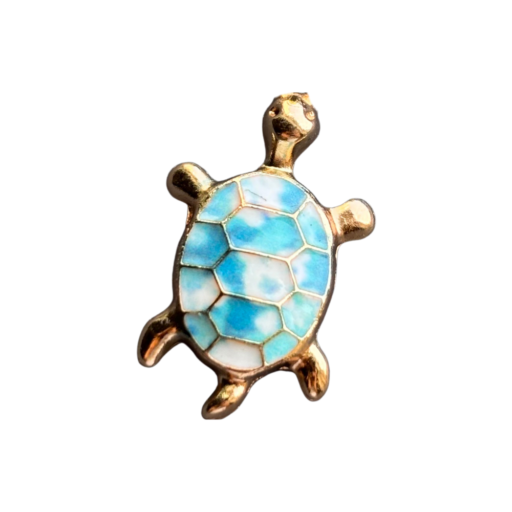 Blue Turtle