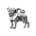 Boxer Dog