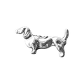 Dachshund