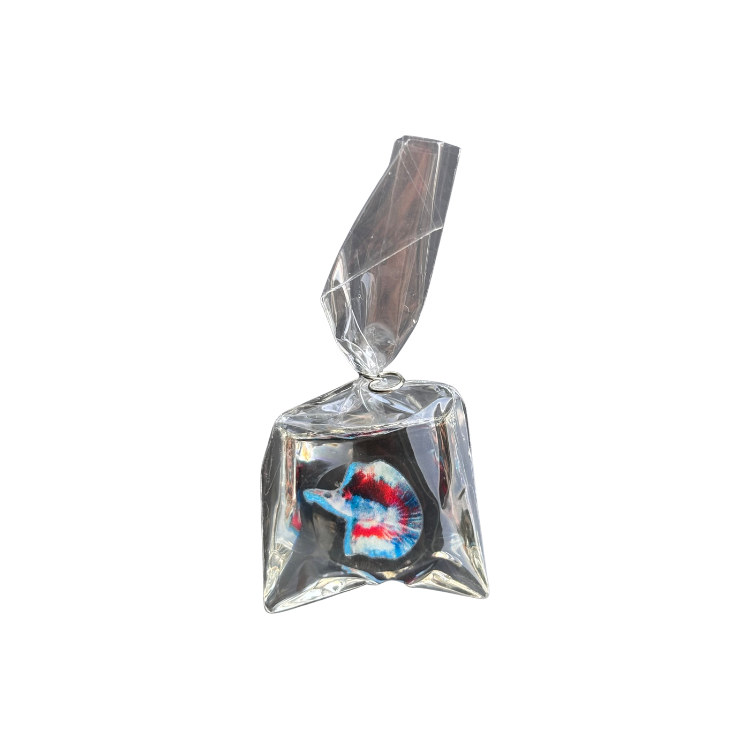 Fish Bag