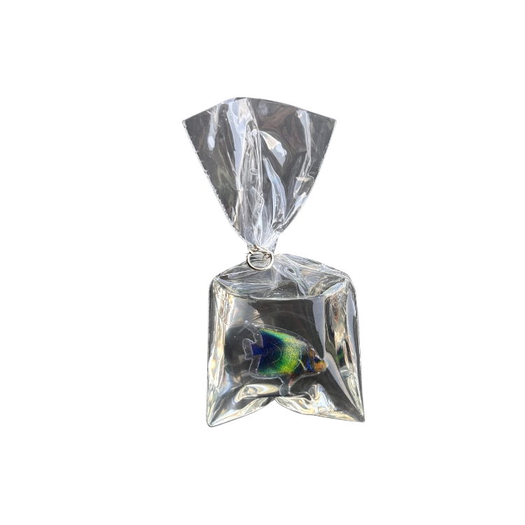 Fish Bag