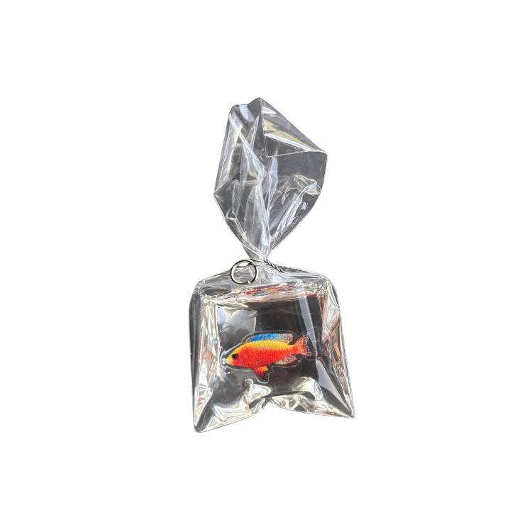 Fish Bag