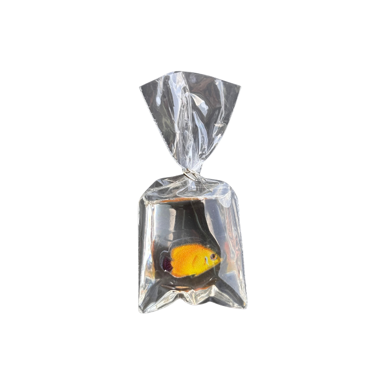 Fish Bag
