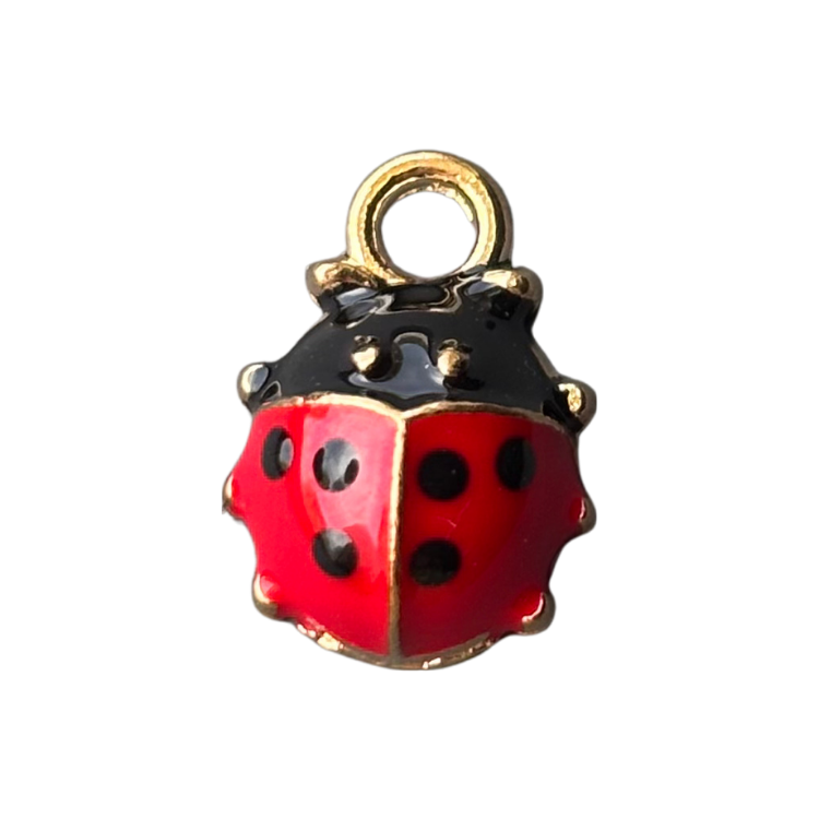 LadyBug