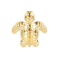 Sea Turtle