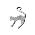 Silver Cat