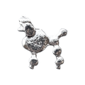 Silver Poodle