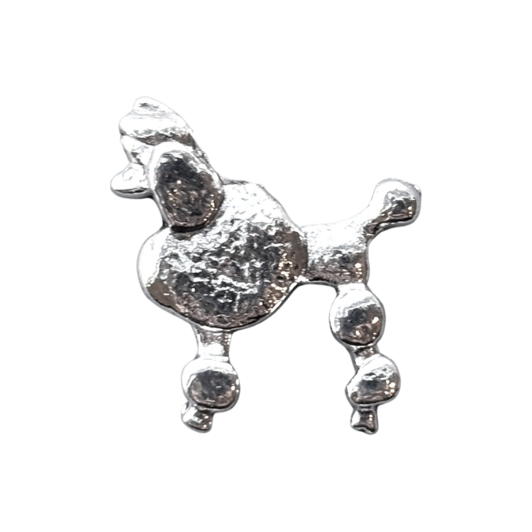 Silver Poodle