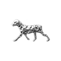 Walking Dog
