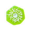 Kiwi Slice