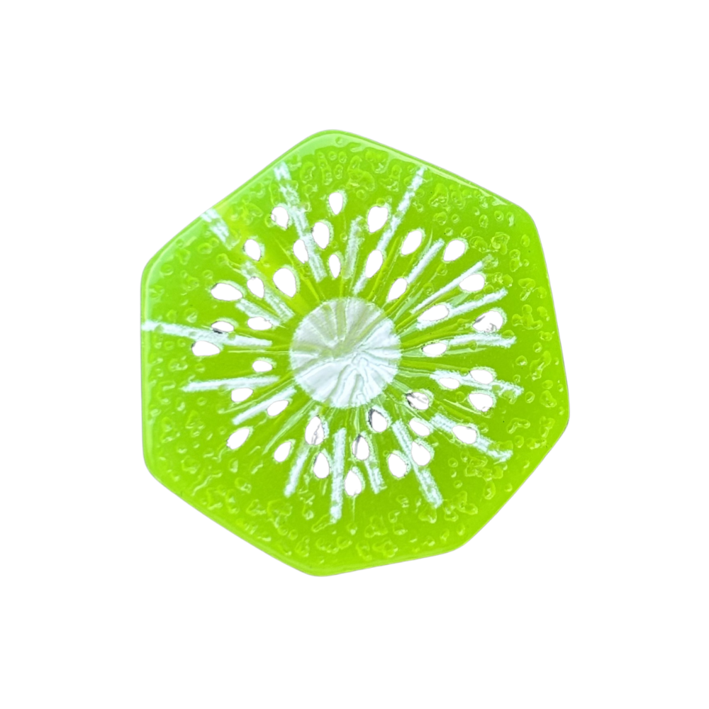 Kiwi Slice