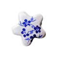Ceramic Star