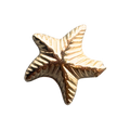 Golden Starfish