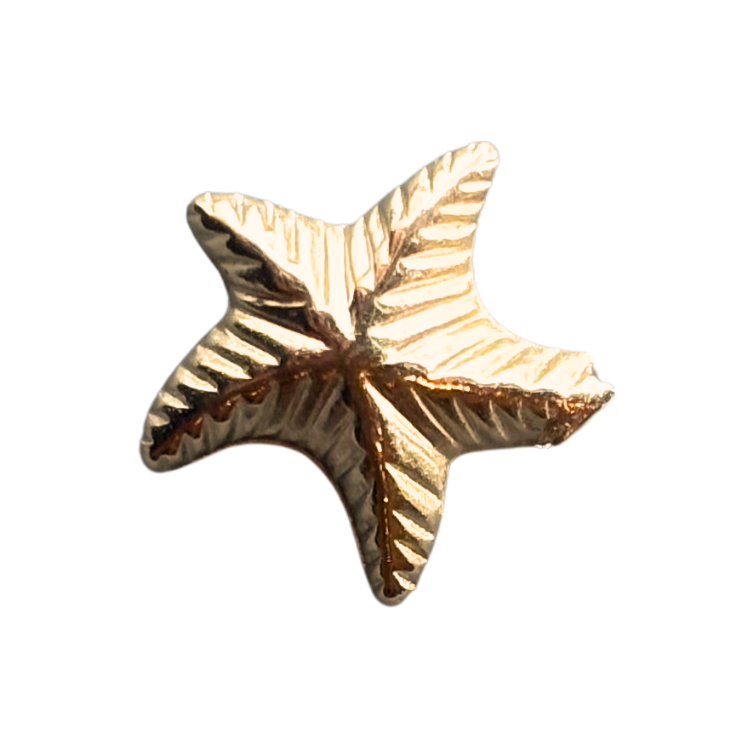Golden Starfish