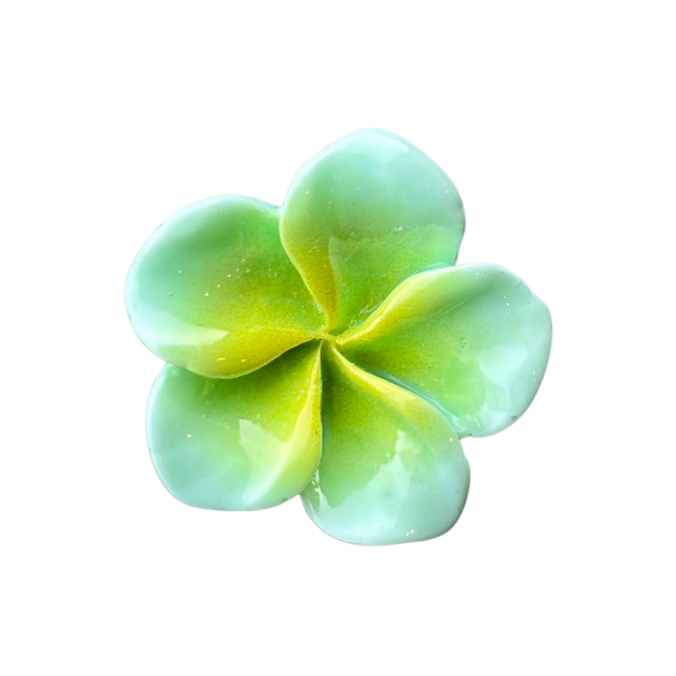 Hawaiian Flower