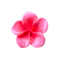 Hawaiian Flower