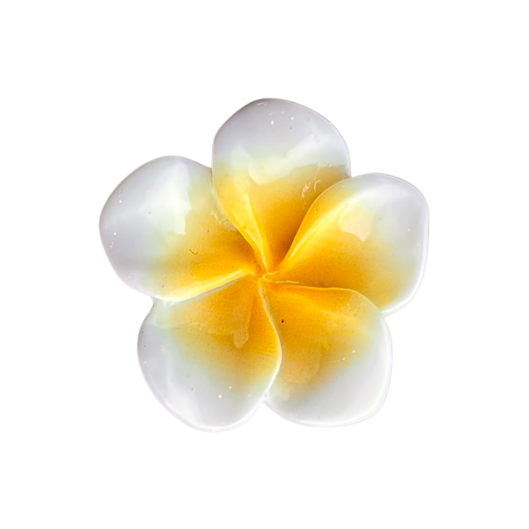 Hawaiian Flower