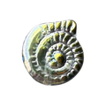 Holo Shell