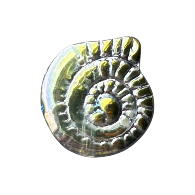 Holo Shell