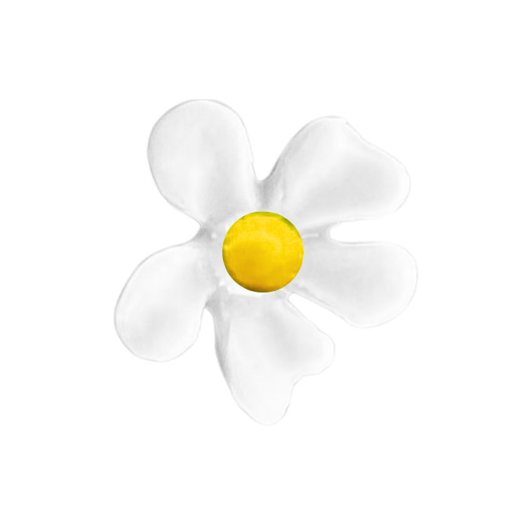 Little Flower