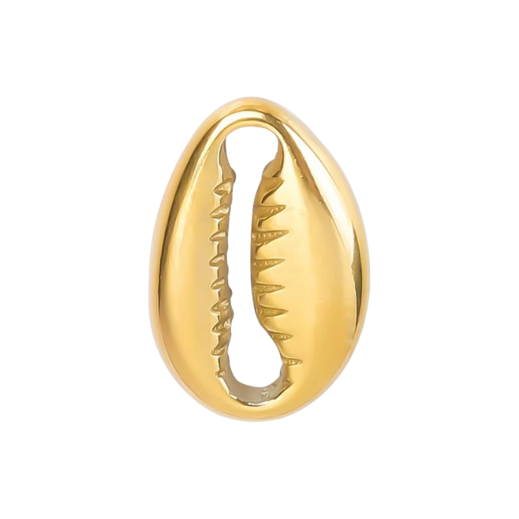 Seashell