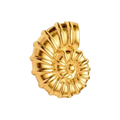 Treasure Shell