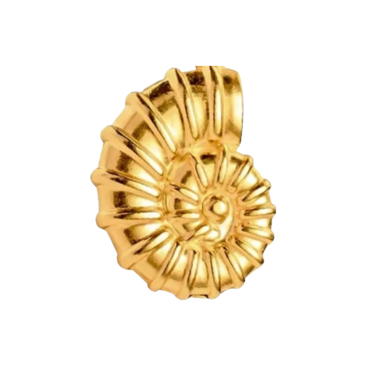 Treasure Shell