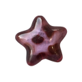 Leopard Star