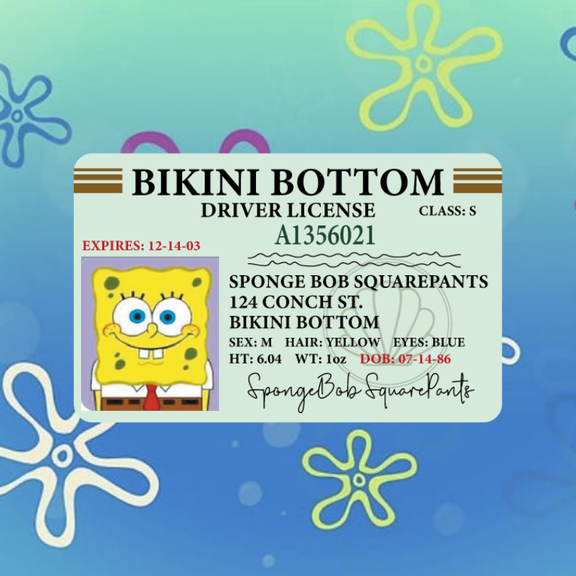 Photo ID Case