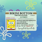 Photo ID Case