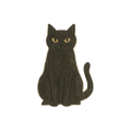 Black Cat