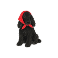 Black Cocker