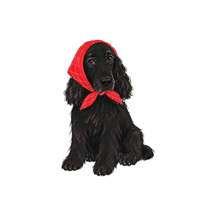Black Cocker