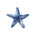 Blue Starfish