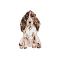 Cocker