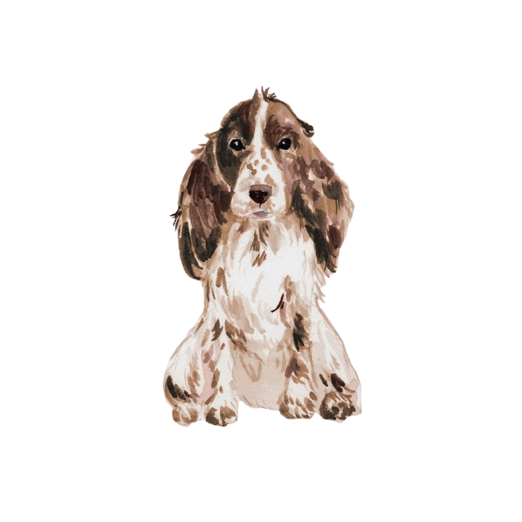 Cocker