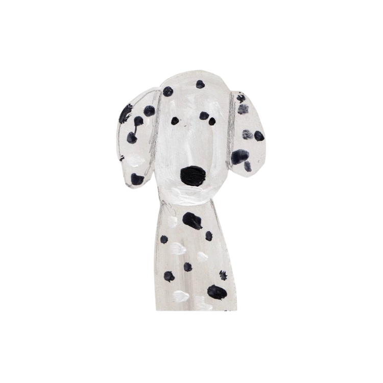 Dalmata