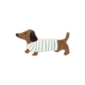 Dachshund