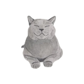 Grey Cat