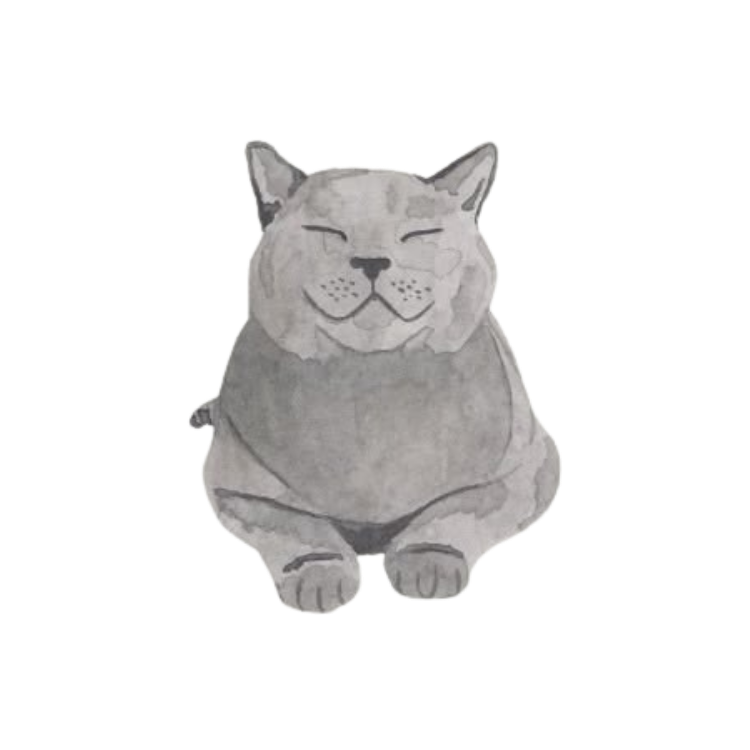 Grey Cat