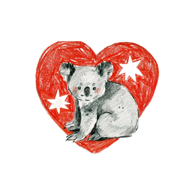 Koala