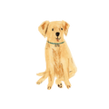 Labrador