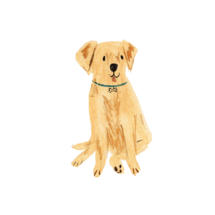 Labrador