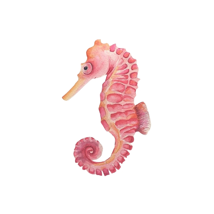 Sea Horse