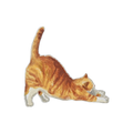 Stripes Cat