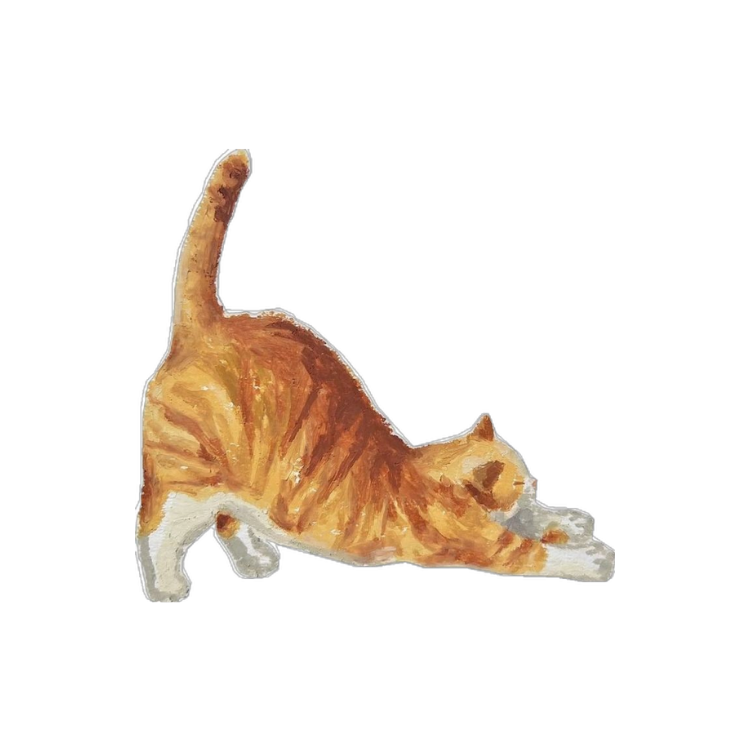 Stripes Cat
