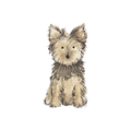 Yorkie