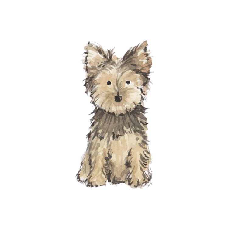 Yorkie