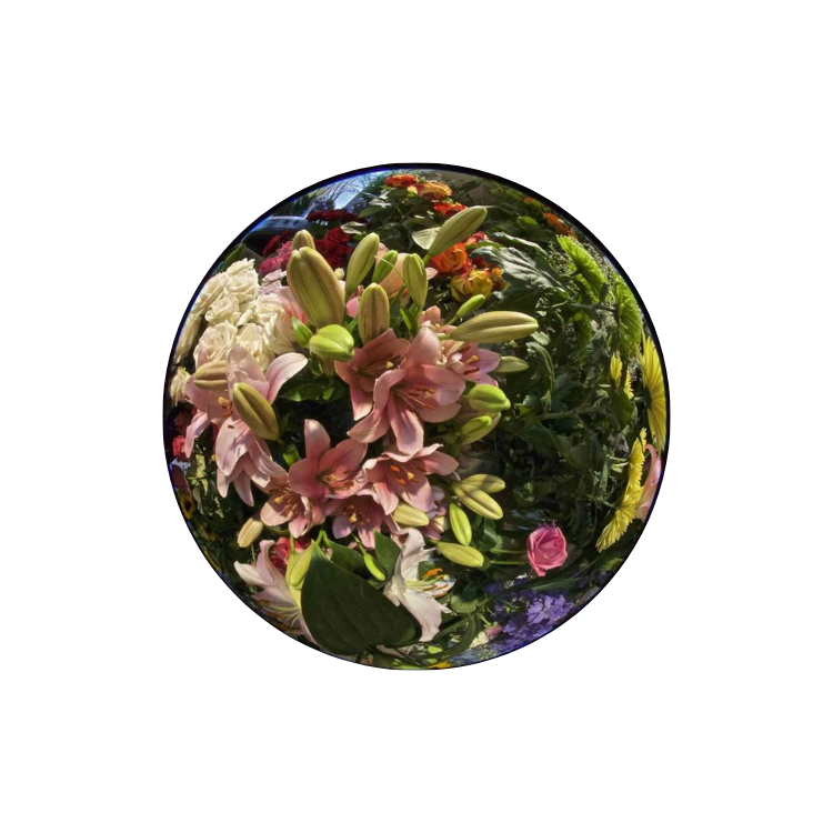Flower Bowl
