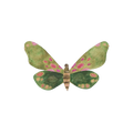 Green Fly